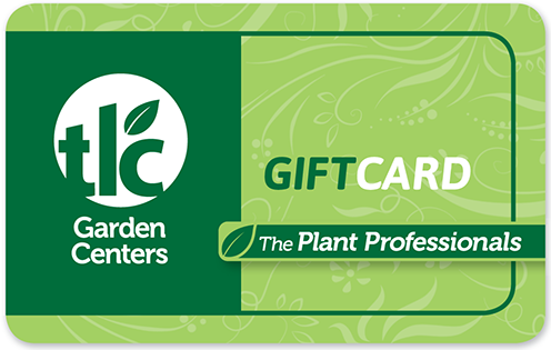 TLC eGift Card